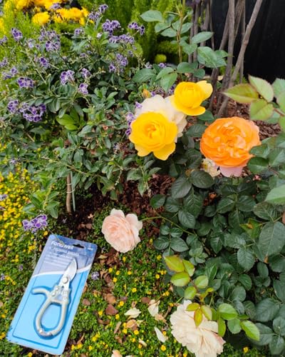 Fondwell 6" Gardening Shears Hand Pruners: Lightweight Garden Trimmers with Bypass Blades - Reliable Bonsai Cutters for Small Plants - style: 6" Curved