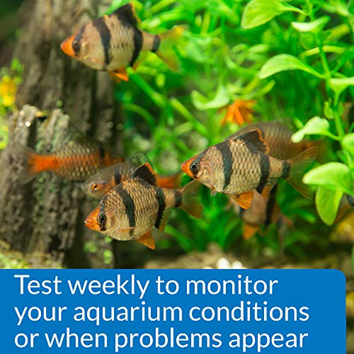 API Phosphate Test Kit For Freshwater And Saltwater, 64 OUNCES - size: 64 OUNCES, style: Phosphate