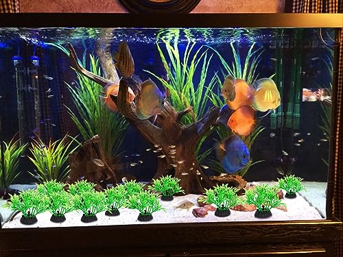 Aquarium Fish Tank Decorations 8PCS Small Green Artificial Plastic Fish Tank Plants Ornaments Safe for Betta Fish - color: Green and Black