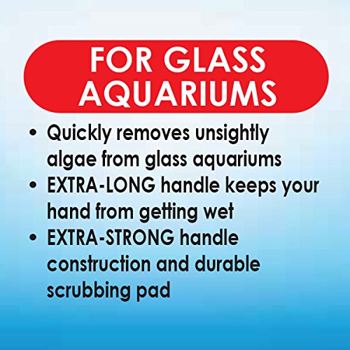 API ALGAE SCRAPER For Glass Aquariums 1-Count Container - color: Assorted, size: 1 Count (Pack of 1)