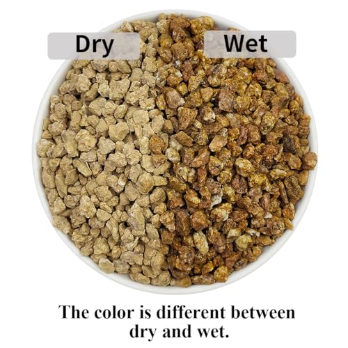 YISZM Succulent and Cactus Maifanitum Stones Garden Accessorie Rocks Pumice for Indoor Plants, Bonsai, Fairy Gardening, Vases Fillers, Terrarium, 2lb - color: Maifanitum Stones, size: 2 Pounds