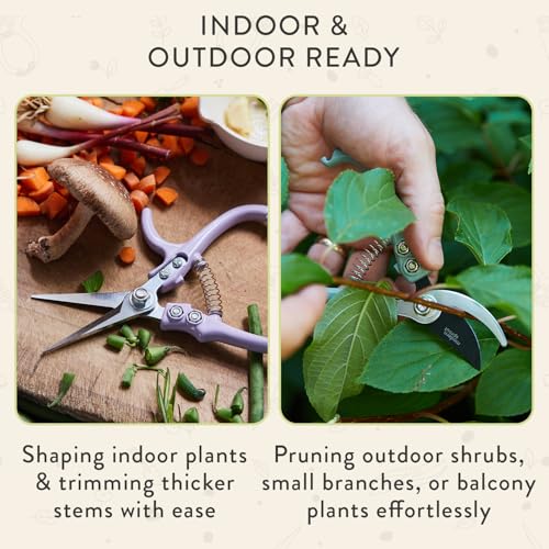 Modern Sprout Hand Pruners & Shears Set w/blister - Lightweight Gardening Tools - Easy Lock - Sharp Carbon Steel Blades - Rust Resistant Scissors for Herbs & Flowers- Gift for Father's Day-Chartreuse - color: Chartreuse