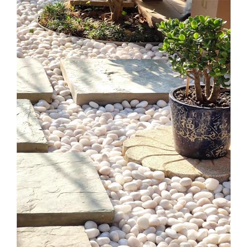 5 lbs White River Rocks, Polished Pebbles for Indoor Plants, 1-2 inch Decorative White Stones for Plants Vase Aquarium Fish Tank and Outdoor Garden Landscaping Rocks - size: 1-2 Inch, style: 5 Pounds
