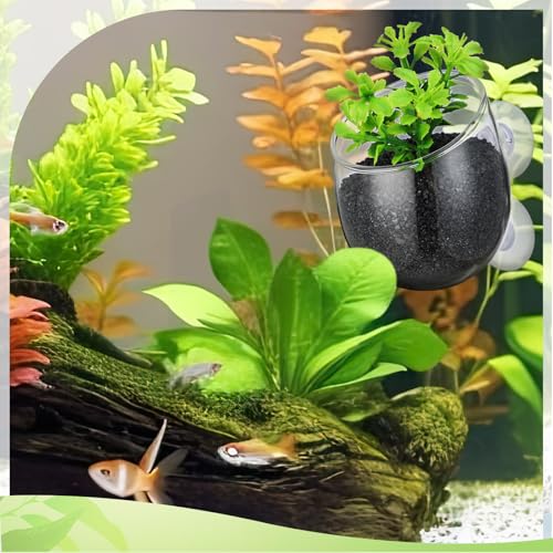 8 Pcs Aquarium Plant Holder Pot Clear Glass Aquatic Plant Cup with Suction Cups Aquarium Fish Tank Pots for Aquaponic Cultivation Water Feature Decoration