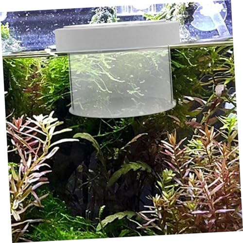 FRCOLOR Acrylic Fish Breeding Box Floating Design Fish Isolation Container for Aquariums Breeder Cups to Survival Rate