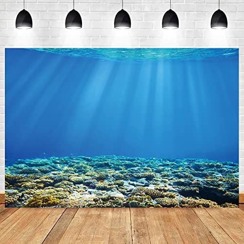 Renaiss 7x5ft Blue Underwater World Backdrop Deep Undersea Sunlight Under The Sea Water Sun Ray Ocean Aquarium Photography Background for Baby Shower Birthday Party Decor Photo Studio Props - color: WSNWH17698, size: 7x5ft