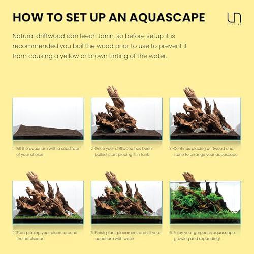Ultum Nature Systems Driftwood - Spider Wood on Slate Stone for Fish Tank, Planted Tank, Terriarium, Paludarium - Versatile Natural Driftwood Decor - Spider Wood on Slate Stone, Small (7-12") - size: 7-12" 1-Pack