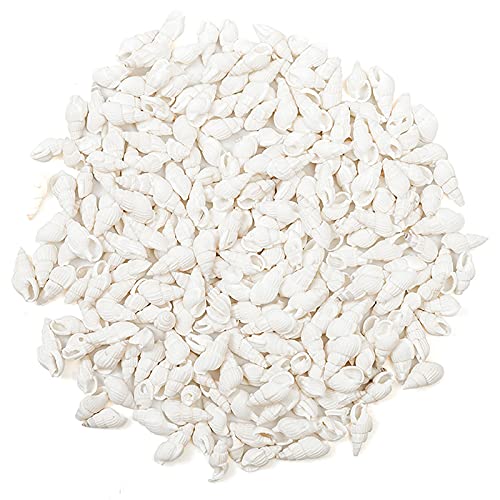 White Clam Cay Cay Sea Shells for Home Decorations, Party Wedding, DIY Crafts (About 350pcs Spiral Shape) - color: About 350pcs spiral shape