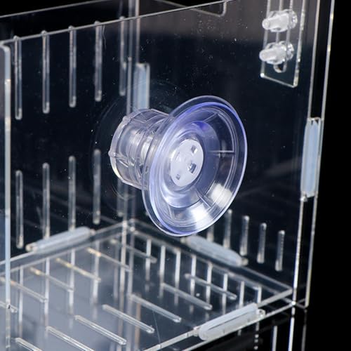 Hydroponic Plant Holder – Transparent Double-Hook Aquarium Holder, Adjustable Acrylic Aquatic Plant Planter, Durable Plants Rest, Underwater Vine Moss Decoration for Aquarium Corner - size: Double grid