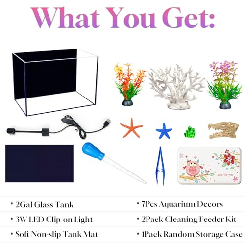 Small Fish Tank Kit,Nano Ultra-Clear Glass Rimless Black Desktop Fish Tank with Light Cleaning Tool & Décors,Small Fish Aquarium for Betta,Shrimp,Small Fish (2Gal Fish Tank Starter Kit)
