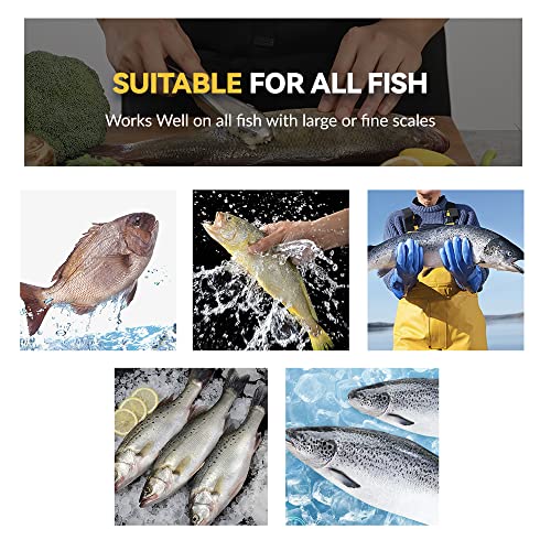 Fish Scaler Stainless Steel Fish Scaler Remover No Mess - Sturdy Fish Scale Remover Portable Fish Descaler Tool- Reliable Fish Cleaner Fish Scraper for Quick & Easy Fish Scaling Cleaning - color: 1 piece