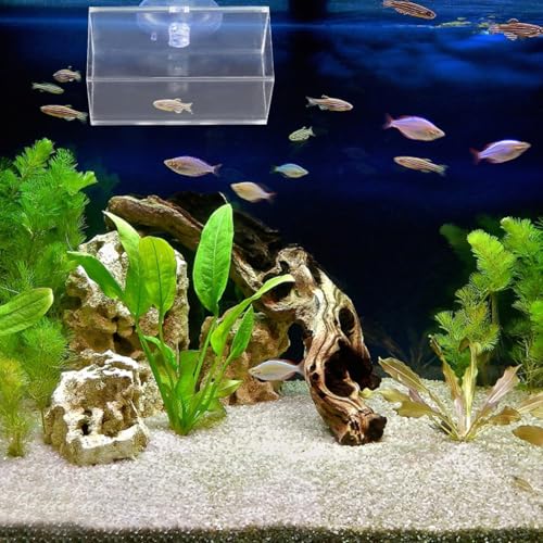 SUPVOX Betta Fish Acrylic Tube Tunnel Dual Purpose Hiding Shelter for Aquariums Secure Decor for Betta Shrimp Easy to Clean and Fish Tank Accessory