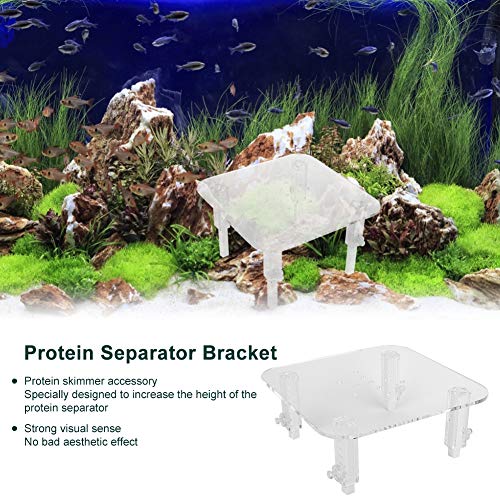 Protein Skimmer Stand, Transparent Protein Separator Bracket Adjustable Height Acrylic Protein Skimmer Bracket Protein Separator Heightening Accessories for Aquarium Fish Tank - size: Middle