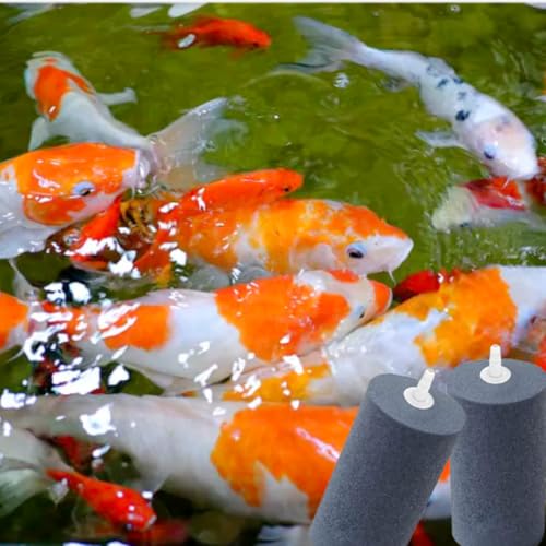 Large Air Stone, Air Stone Hydroponics, 4 x 2 Inch Large Air Stone Cylinder Bubble Diffuser for Aquarium, Fish Tank, Pond and Hydroponics Air Pump, Growing System, Circulation - color: 12-Pack