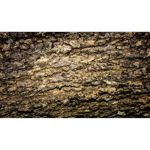 Tree Bark Texture Reptile Tank Background Old Wood Texture Aquarium Background Aged Rough Natural Wooden Bark Terrarium Background Wooden Textured Aquarium Fish Tank Background Wallpaper 24x16in - color: Brown_Black, size: 24(W)x16(H)inches/ 60(W)*40cm(H)