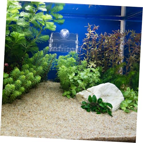 GANAZONO Aquarium Moss Holder Creative Acrylic Planter Fish Tank Plant Cup Easy Install Suction Cup