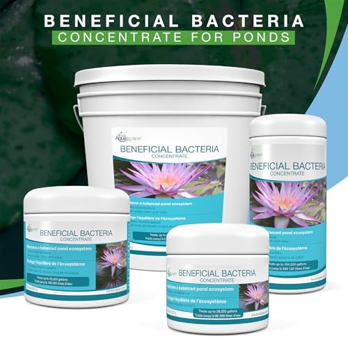 Aquascape 98950 Beneficial Bacteria Water Treatment Dry - 3.2 kg/7 lbs for Pond Water Feature Waterfall | Provides Clean, Clear and Healthy Water Conditions and Reduces Pond Maintenance - size: 7 lb