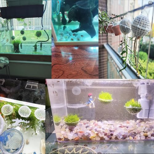 10 Pack Aquarium Moss Ball Holder Aquatic Plants Holder Habitat Floating Ball for Fish Tank Freshwater Aquarium Plant Decor Alternanthera Lilacina Amazon Sword Echinodorus Bleheri Java Fern