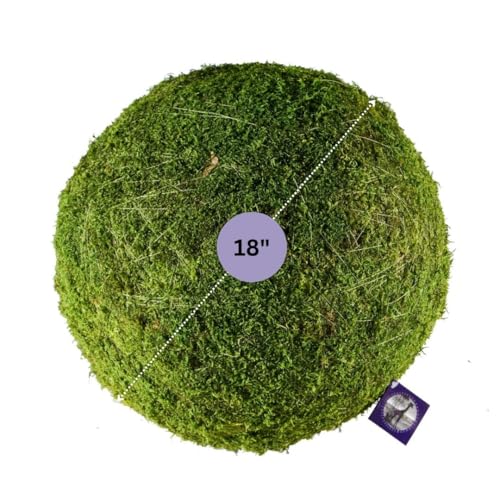 SuperMoss (21679 Moss Balls – Preserved Decorative Moss Balls for Home Décor, Vase Fillers, Centerpieces, Terrarium & Wedding Décor, Natural Green Moss Décor Balls, 18", Fresh Green - color: Fresh Green, size: 18"