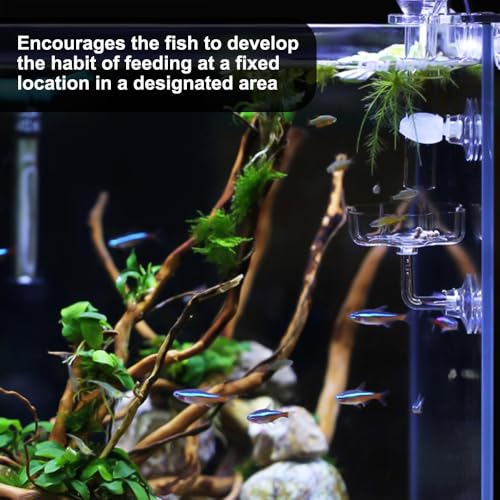 Shrimp Feeding Dish, Acrylic Aquarium Feeding Bowl with Suction Cup for Fish Tanks - color: Cherry blossoms