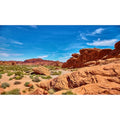 Terrarium Background Red Rocks Reptile Terrarium Background Reptile Tank Background Desert Rocky Bush Thorns Wilderness Reptile Habitat Background Bearded Dragon Tank Aquarium Background 24x12in - color: Oasis Brown, size: 24(W)x12(H)inches/ 60(W)*30cm(H)