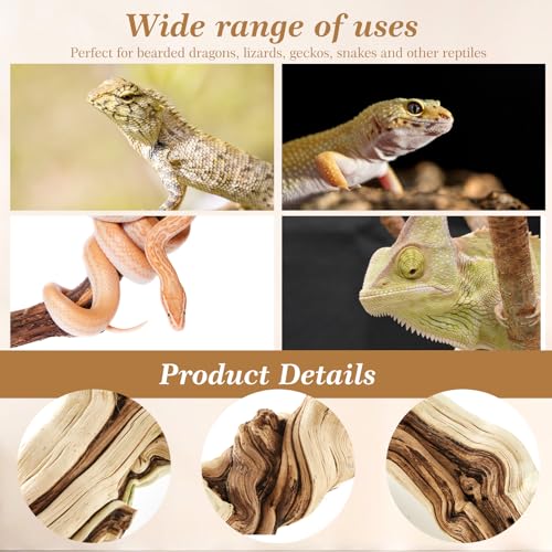 Janinka 26-28" Length Large Wood Reptile Branch for Bearded Dragon Driftwood Reptile Climbing Habitat Decoration for Terrarium Tree Trunk Ornament Gecko Frog Chameleon Spider - size: 26-28"