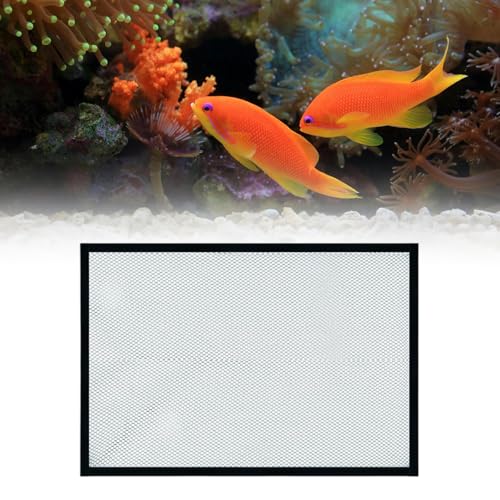 Aquarium Screen Top Cover Anti Jumping Mesh Screen Transparent Jump Guard Protective Net Accessory Multifunction, 60x30cm - size: 60x30cm