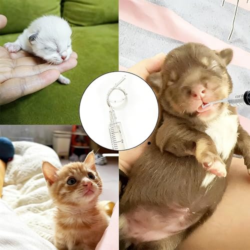Baby Bird Feeding Syringe Set, Pet Parrot Milk Feeding Syringe with Tubes, Parrot Feeding Tubes Measuring Tools for Feeding Pets Scientific Industrial Labs… (10ml +10ml +12ml White) - color: 10ml +10ml +12ml White