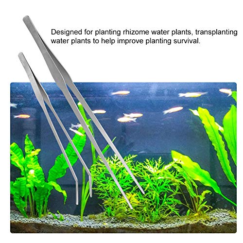 Fish Tank Aquarium Water Plants Planting Clip Stainless Steel Tweezers Cultivate Tool - Rust Durable Design, Straight and Elbow Tweezers for Aquascaping
