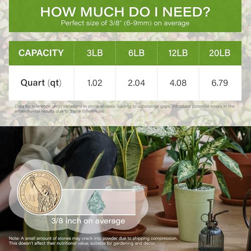 12lb Green Zeolite for Plants, 3/8" Natural Succulent Potting Soil Amendments, Decorative Gravel for Cactus, Bonsai Gritty Rock, Pebbles Pumice for Vase Fillers, Top Dressing - color: Green, size: 12 Lb