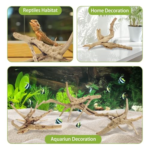 Tfwadmx Aquarium Driftwood, 7-11" Spider Wood Sinkable Driftwood for Fish Tank Decorations Natural Branches for Reptile, Assorted Spider Wood Branch Pack of 3 - size: Spiderwood（7-11 inch pack of 3）
