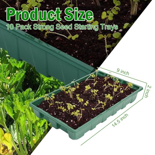 YoleShy 10 Pack Seed Starter Tray Reusable Plastic Plant Seedling Starter Trays Thickened Sturdy Durable for Germination Growing Microgreens Planting Propagation, Without Drain Holes, 14.5"x9", Green - size: 10 Pack - Green