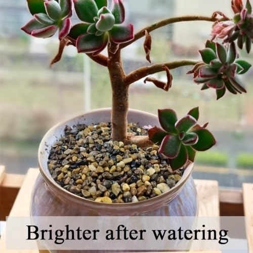 FANTIAN 5 lbs Aquarium Gravel, Pea Gravel for Fish Tank,1/4 Inch Decorative River Rocks for Aquarium Succulent Vase Plant Soil Cover and Outdoor Landscaping - size: 1/4 Inch