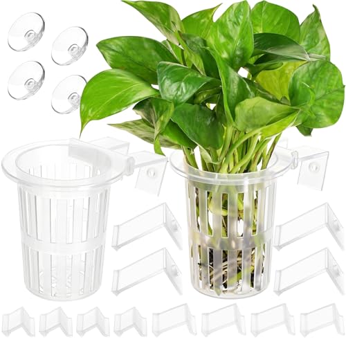 2025 New Upgraded Large Aquarium Plant Holder with 1.57-inch Extension Hooks and Suction Cups for Fish Tank Aquaponic Plant Cultivation and Aquascape Accessories Decorations (2 PCS) Transparent - color: Transparent-2 Pieces