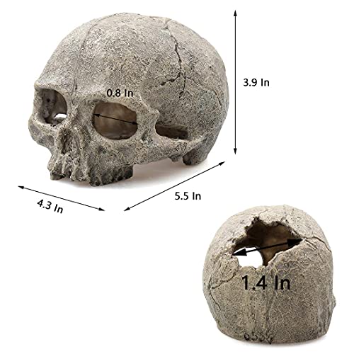 Tfwadmx Aquarium Skull Decor, Resin Fish Tank Decorations Aquarium Shrimp Cave Betta Fish Hiedout Reptile House for Small Fish,Shrimp