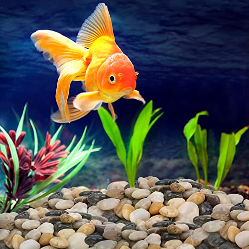 Mr. Fireglass Natural Polished Pebbles, 1 Inch Decorative Mixed Color Stones Aquarium Gravel River Rocks for Vase, Succulents, Landscaping and Home Decor (5-lb Bag) - color: Mixed Color, size: 1 inch, 5 lb