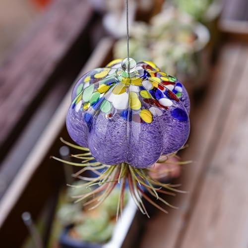 H&D HYALINE & DORA Hanging Hand Blown Art Glass Jellyfish Air Planter Terrarium Decor for Garden Porch Windowsill (No Plants) - color: Jellyfish-purple