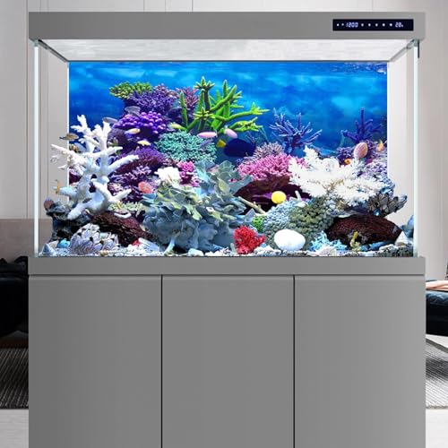 YongFoto Ocean Theme Fish Tank Background 24x12 inch Coral Seaweed Reef Rock Tropical Fish Underwater Sea World Polyester Backdrop Reptile Habitat Terrarium Aquarium Background - color: Underwater 2, size: 24x12inches
