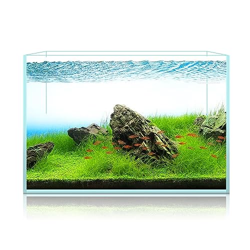LYPHARD AQUARIUMS 15 Gallon Rimless Aquarium, Ultra Clear Glass Low Iron Rectangular Fish Tank L19.6×W13×H13.8 Inches Thickness 6mm with EVA Foam Mat Included - size: 15 Gallons