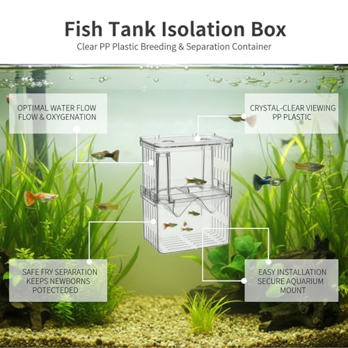 Clear PP Aquarium Isolation Box - Single Compartment Breeding & Separation Tank for Fry and Fish, 3.15 x 2.76 x 3.94 Inches