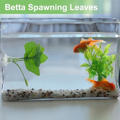 Betta Fish Leaf, Natural Habitat Simulation for Betta Spawnings Grounds, Betta Spawnings Leaves, Resting Bed, Large Maple Small Leaves, Green