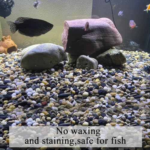 FANTIAN 2 lbs Aquarium Gravel, 2/5 inch Pea Gravel for Fish Tank, Decorative Pebbles River Rocks for Plants Succulent Vase Indoor Water Fountains and Outdoor Landscaping - size: 2/5 Inch
