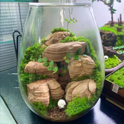 Natural Rocks Pagoda Stones 1-2.5 Inches Decorative Stones for Fairy Gardens,Miniature Landscaping,Bonsai,DIY Crafts,Aquariums & Reptile Terrariums-1lb - size: 1lb(1-2.5Inch)