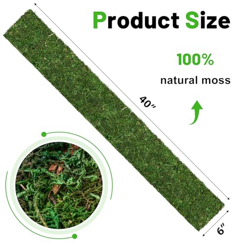 40'' x 6'' Green Dried Moss Roll, Preserved Moss Sheet for Crafts Table Decoration Fairy Wedding Party Woodland Garden Decor - color: 40*6 Inch