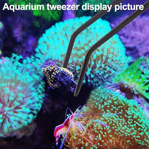 31.5Inch Long Corals Grabber,reefs Feeders,Aquarium Veggie Feedting Tool,Aquarium Food Clip Feeding(Long Reef Grabber and Coral Feeder Kits(Anti-Rust)