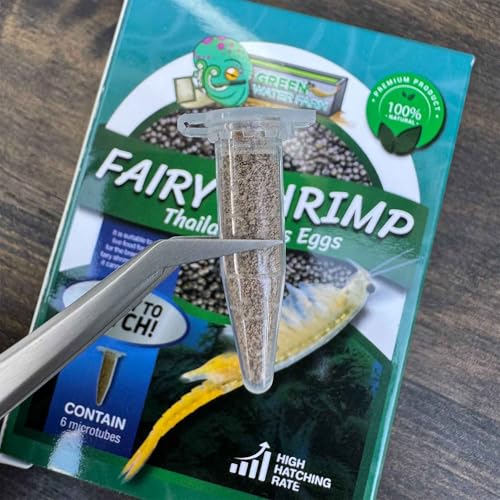GREEN WATER FARM Fairy Shrimp Thailandensis Eggs Live Fish Food for Hatching and Culture Suitable for Feed Betta Fish