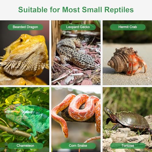 Reptile Water Dish for Bearded Dragon Tank Accessories, Hygger zoo Hermit Crab Food Bowl Reptile Food Dish Corner Rock Terrarium Feeding Bowl Tortoise Water Dish for Leopard Gecko Turtle Snake, Black - color: Black(6.5*4.1*0.7)