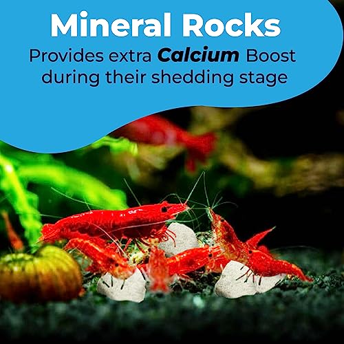 JOR Water Conditioner Calcium Rocks for Baby Shrimps, Isopods, and Crayfish, Enhances Pet Color, Provides Hideout, Breeding Spot, Beneficial for Shedding, Rustic Decor for Big and Nano Tanks, 3.5 oz.