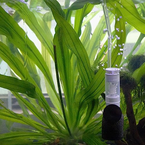 Senzeal Mini Sponge Fish Filter Quiet 3 in 1 Small Aquarium Air Pump Filter for Freshwater Saltwater Small Fish Tank with Check Valve 106cm Airline Tubing