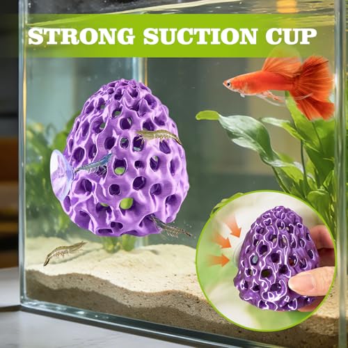 Shrimp Dome Hide, Shrimp Hides for Aquarium, Betta Fish Hideout with Suction Cup, Betta Habitat Tank Ornament Accessories, Aquarium Decor for Small Fish Guppy Hiding Resting (Purple) - color: Purple